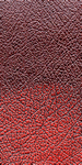 Red leather sample